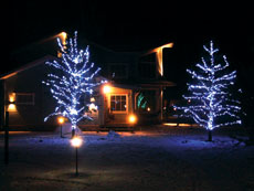 Tree illumination