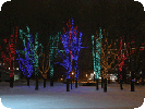 Tree illumination